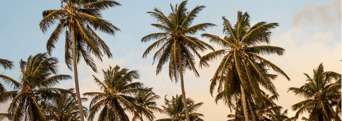 Blog Post Image